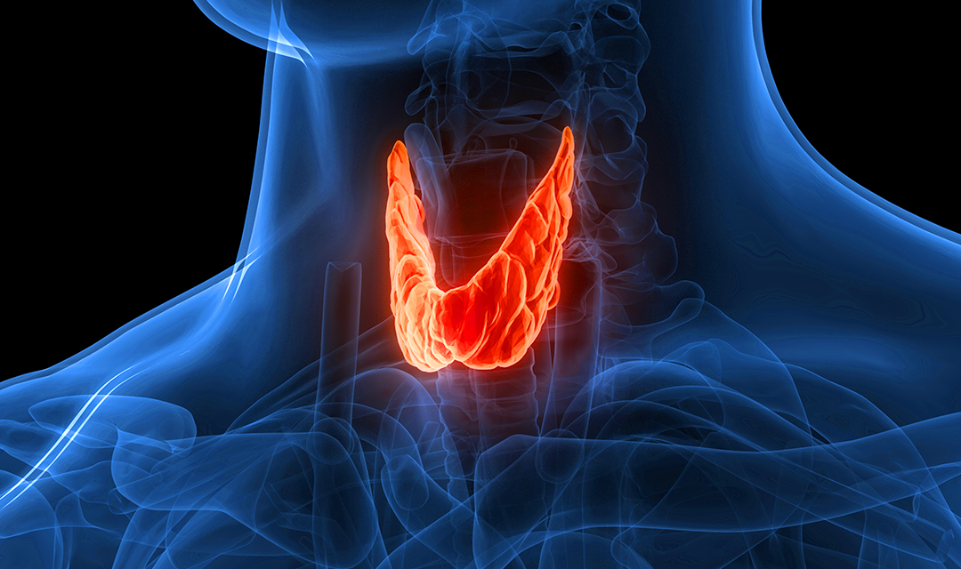 Next-gen implant to treat thyroid disorders, Burak Ozdoganlar