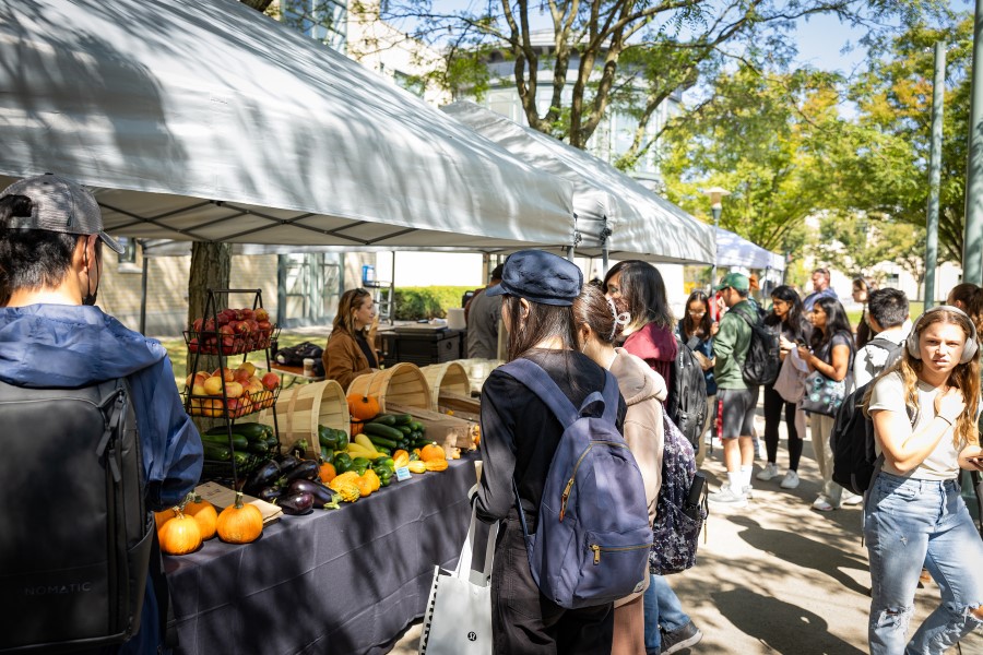 Students shopping at a farmers market