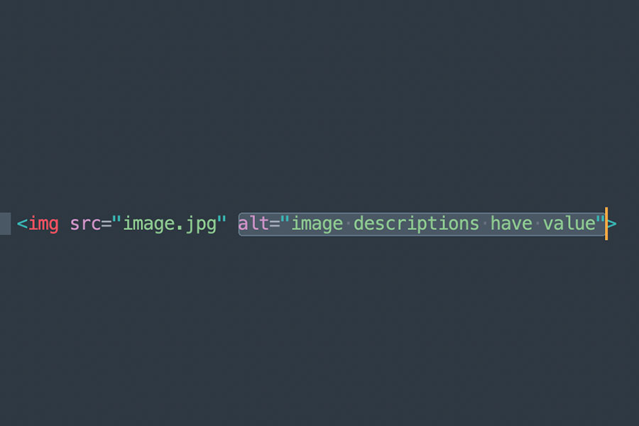 a line of HTML code showing alt text that reads "image descriptions have value"