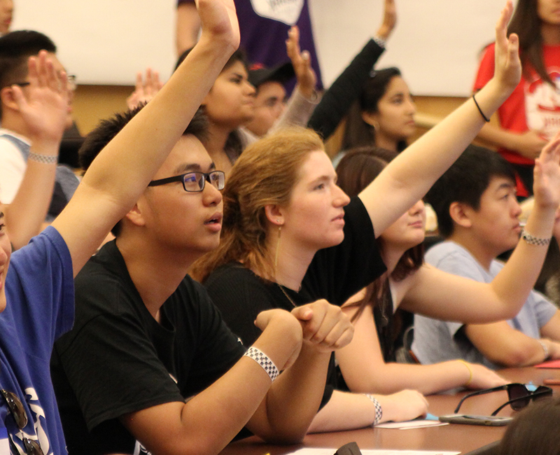 attentive students raising their hands