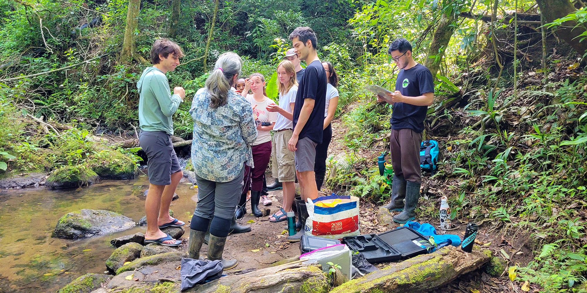 students learning at a creek