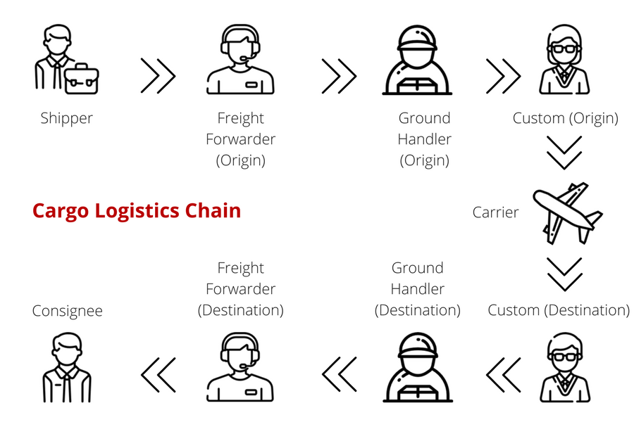 Cargo Logistic Chain