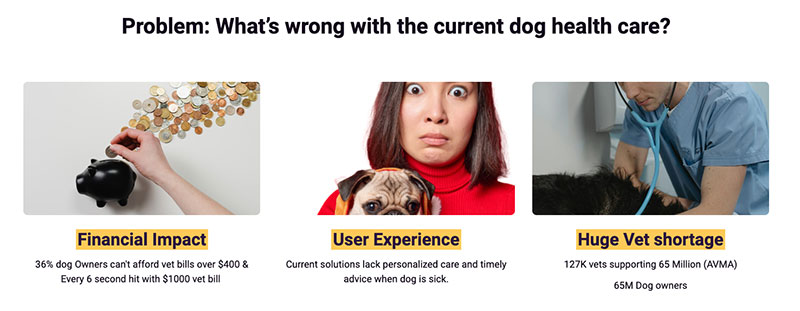 presentation image of financial impact user experience and vet shortage