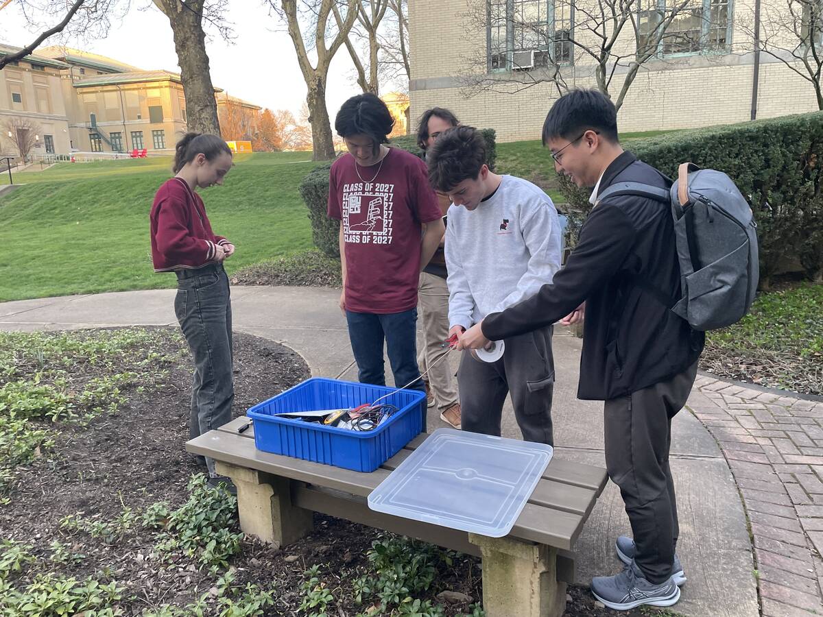 students working outdoors