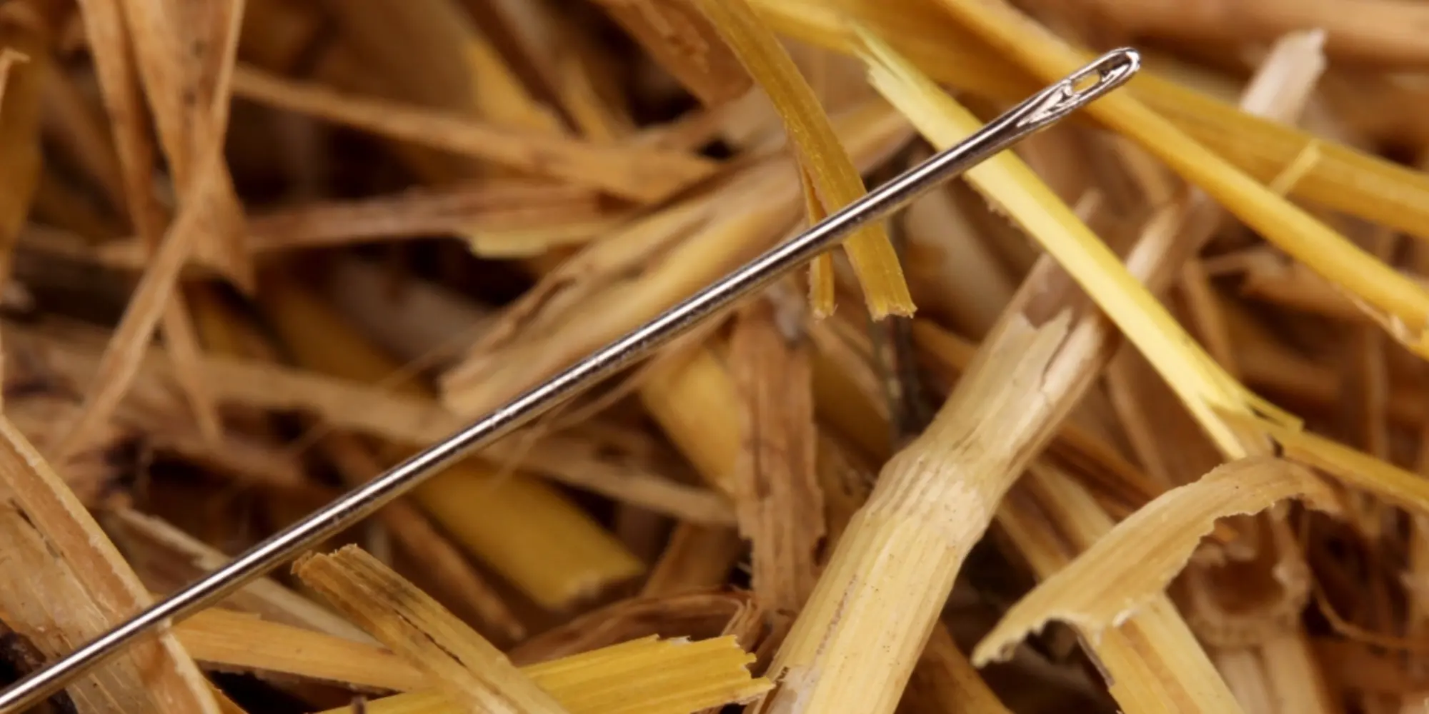 A needle in a haystack