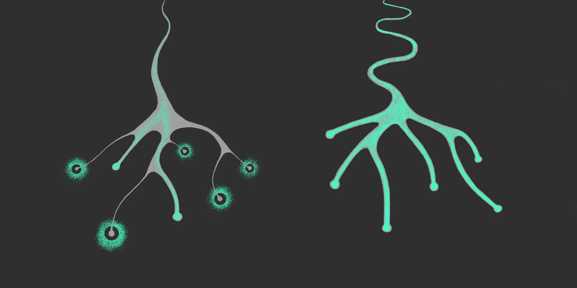 Artistic closeup rendering of neurons in the brain 
