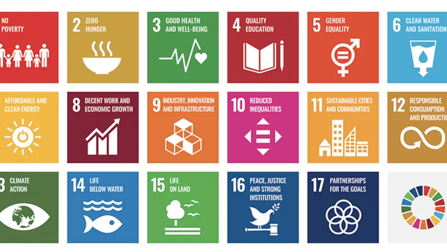 The 17 UN sustainable development goals.
