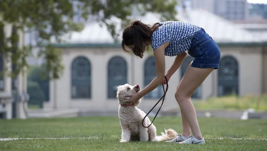 A woman walks her dog on CMU campus. 
