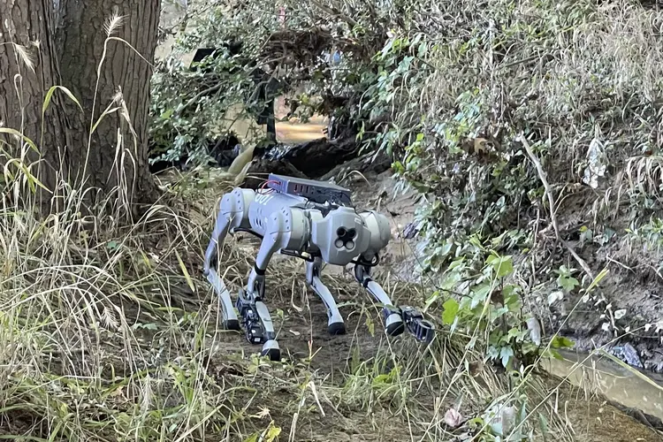 LocoMan, quadruped robot that can navigate challenging terrain