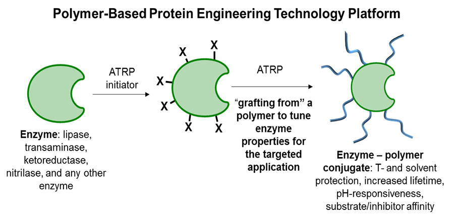 A graphic portraying the polymer-based protein engineering technology platform.