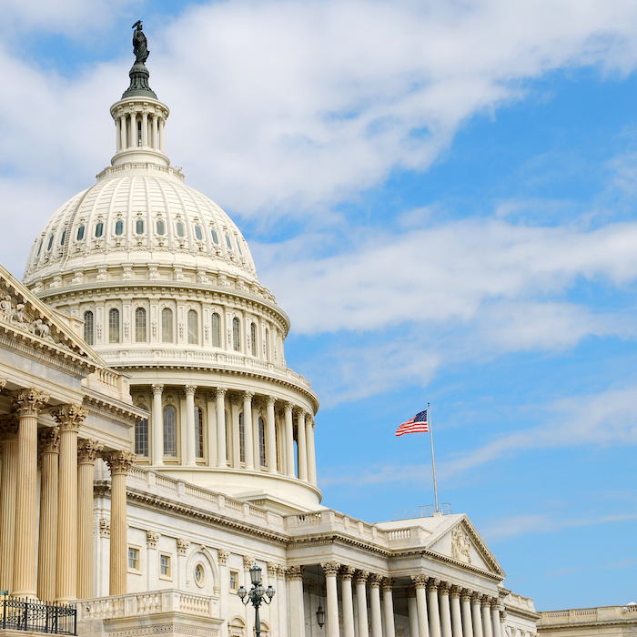 The U.S. Capitol Building in Washington D.C.