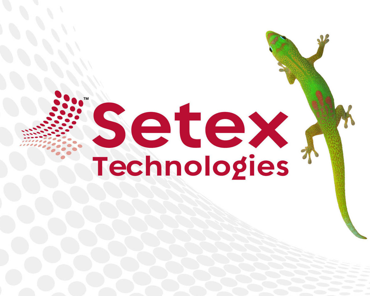 Setex Technologie