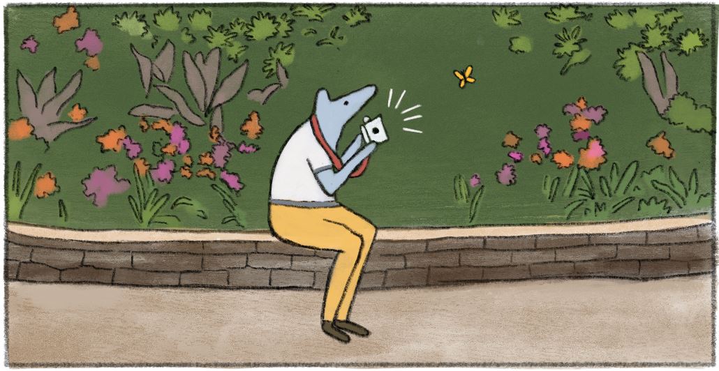 a cartoon animal taking a photo of a butterfly