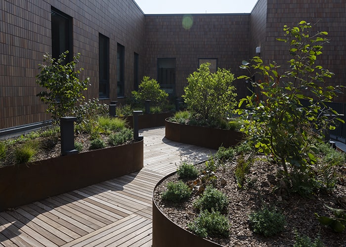 meandering raised garden beds with lots of green foilage 